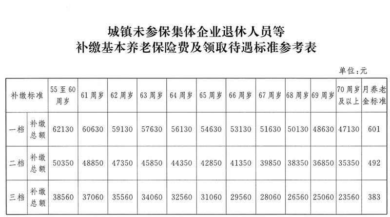 城鎮(zhèn)未參保集體企業(yè)退休人員等補繳基本養(yǎng)老保險費及領(lǐng)取待遇標準參考表